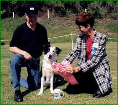 Dog Training Careers